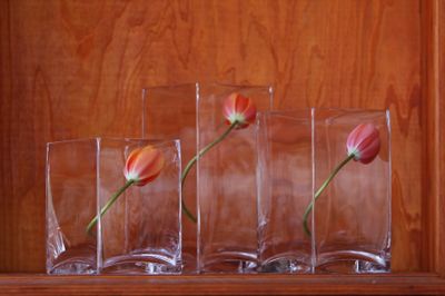 Square glass vases